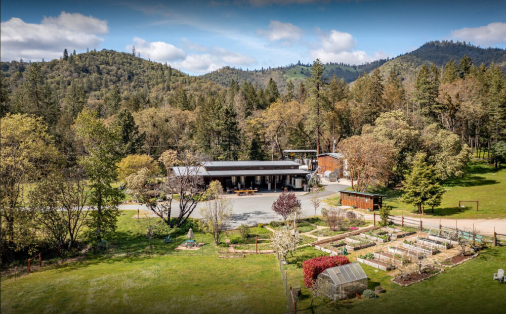 Vineyard, Winery, Creamery, Charcuterie and Vacation Rentals For Sale