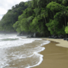 130 Hectare Development Opportunity Located In Uvita Costa Rica