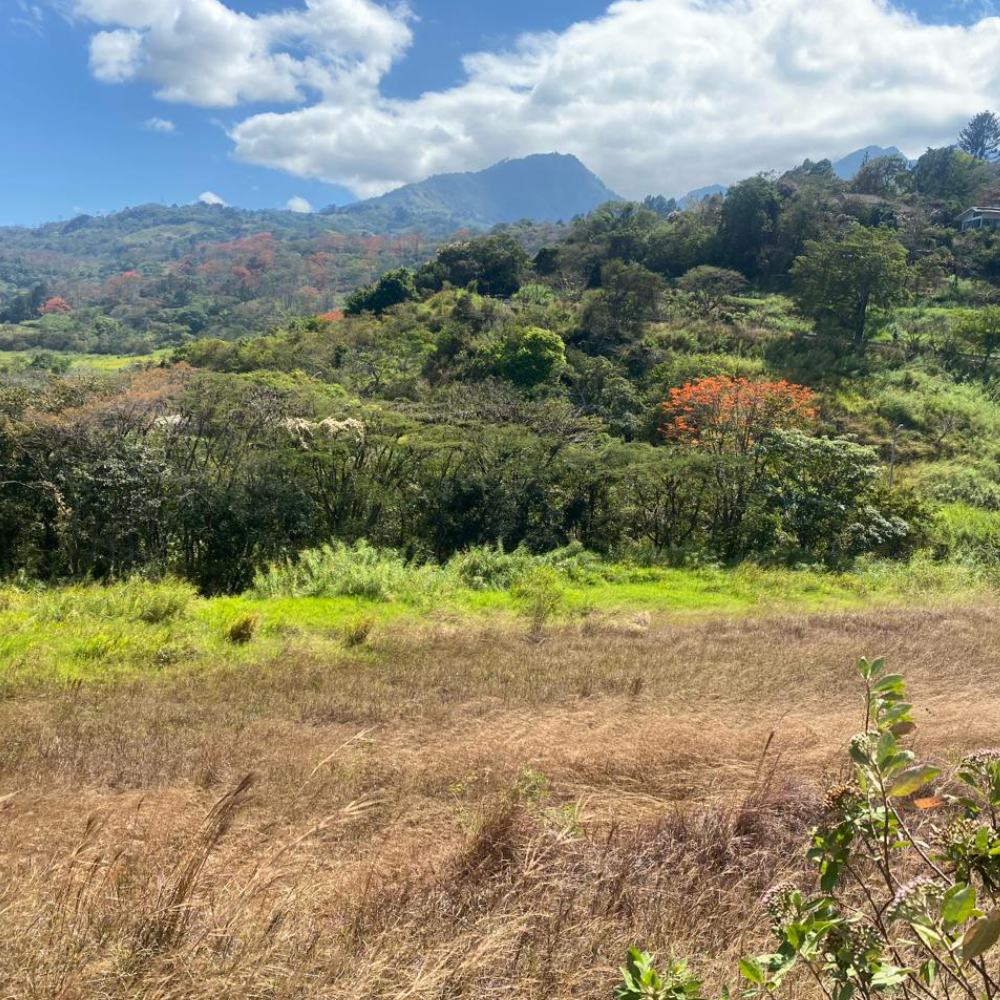 Prime Development Opportunity in Escazú, San José Costa Rica